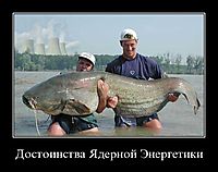 Достоинства Ядерной Энергетики 