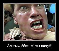Ах тыж ёбаный ты нахуй! 