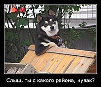 Слыш, ты с какого района, чувак?