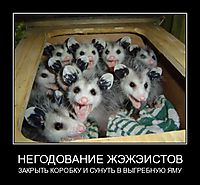 НЕГОДОВАНИЕ ЖЭЖЭИСТОВ ЗАКРЫТЬ КОРОБКУ И СУНУТЬ В ВЫГРЕБНУЮ ЯМУ