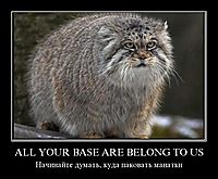 ALL YOUR BASE ARE BELONG TO US Начинайте думать, куда паковать манатки