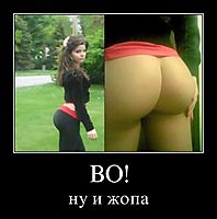 ВО! ну и жопа