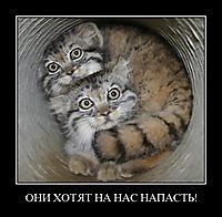 ОНИ ХОТЯТ НА НАС НАПАСТЬ! 