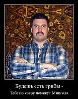 Будешь есть грибы - Тебе по ковру покажут Мицгола