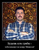 Будешь есть грибы - тебя покажут по ковру Мицгола!