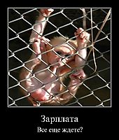 Зарплата Все еще ждете?