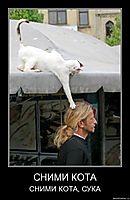 СНИМИ КОТА СНИМИ КОТА, СУКА