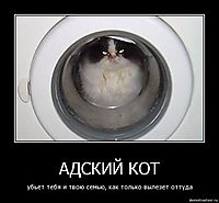 АДСКИЙ КОТ убьет тебя и твою семью, как только вылезет оттуда