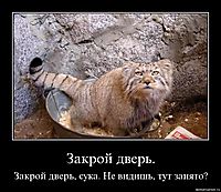 Закрой дверь. Закрой дверь, сука. Не видишь, тут занято?