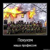 Похуизм наша профессия