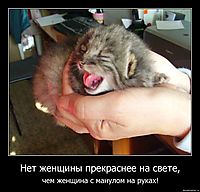 Нет женщины прекраснее на свете, чем женщина с манулом на руках!