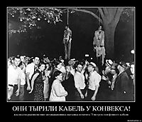 ОНИ ТЫРИЛИ КАБЕЛЬ У КОНВЕКСА! два несовершеннолетних злоумышленника пытались похитить 75 метров телефонного кабеля
