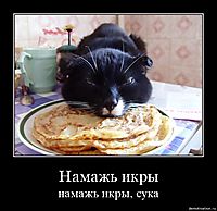 Намажь икры намажь икры, сука