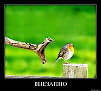 ВНЕЗАПНО 