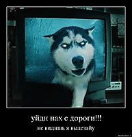 уйди нах с дороги!!! не видишь я вылезайу