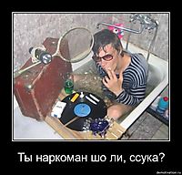 Ты наркоман шо ли, ссука? 
