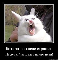 Битард во гневе страшен