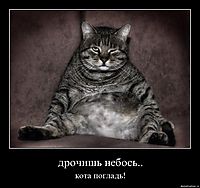 дрочишь небось.. кота погладь!