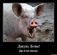 Дякую, Боже! Що я не манул.