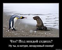 Что? Под виндой сидишь? Ну ты, в натуре, вендузовый ламер!