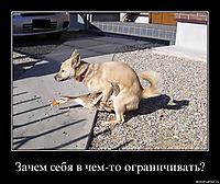 Зачем себя в чем-то ограничивать? 