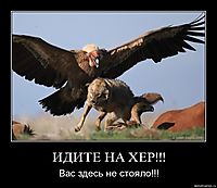 ИДИТЕ НА ХЕР!!! Вас здесь не стояло!!!