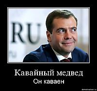 Кавайный медвед Он каваен
