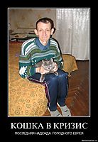 КОШКА В КРИЗИС ПОСЛЕДНЯЯ НАДЕЖДА  ГОЛОДНОГО ЕВРЕЯ