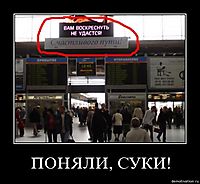 ПОНЯЛИ, СУКИ! 