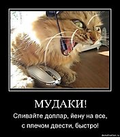 МУДАКИ! Сливайте доллар, йену на все, с плечом двести, быстро!
