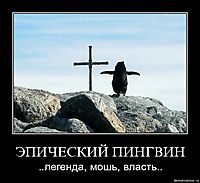 ЭПИЧЕСКИЙ ПИНГВИН ..легенда, мошь, власть..
