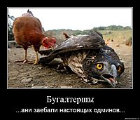 Бугалтершы ...ани заебали настоящих одминов...