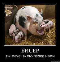 БИСЕР ты мечешь его перед нами