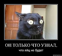 ОН ТОЛЬКО ЧТО УЗНАЛ, что яйц не будет