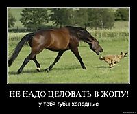 НЕ НАДО ЦЕЛОВАТЬ В ЖОПУ! у тебя губы холодные