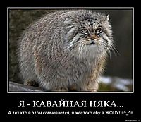 Я - КАВАЙНАЯ НЯКА... А тех кто в этом сомневается, я жестоко ебу в ЖОПУ! =^_^=