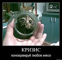КРИЗИС консервируй любое мясо