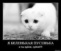 Я БЕЛЕНЬКАЯ ПУСЕНЬКА а ты хуйня, хуйня!!!!