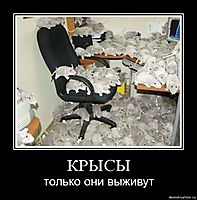 КРЫСЫ только они выживут