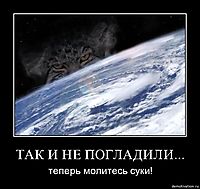 ТАК И НЕ ПОГЛАДИЛИ... теперь молитесь суки!