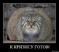 К КРИЗИСУ ГОТОВ! 