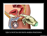 ЗДЕСЬ МОГЛА БЫ БЫТЬ ВАША РЕКЛАМА 