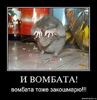 И ВОМБАТА! вомбата тоже закошмарю!!!