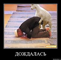 ДОЖДАЛАСЬ 