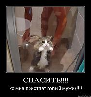 СПАСИТЕ!!!! ко мне пристает голый мужик!!!!