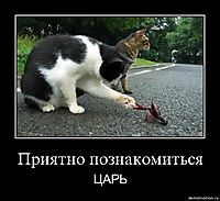 Приятно познакомиться ЦАРЬ