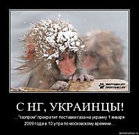 С НГ, УКРАИНЦЫ! ..."газпром" прекратит поставки газа на украину 1 января 2009 года в 10 утра по московскому времени...