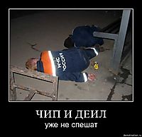 ЧИП И ДЕИЛ уже не спешат