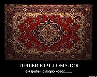 ТЕЛЕВИЗОР СЛОМАЛСЯ ем грибы, смотрю ковер.......