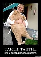 ТАИТИ, ТАИТИ... нас и здесь неплохо кормят.